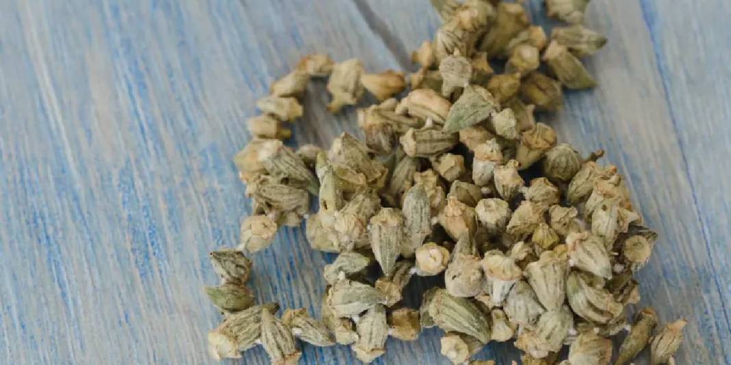 Seveni az ama faydası çok: Kilosu 3.500 TL’ye ulaştı! 4